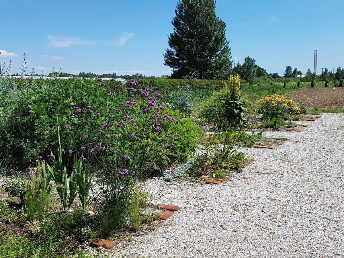 Agriturismo Frascje Dai Spadons Villa Pradamano Bagian luar foto
