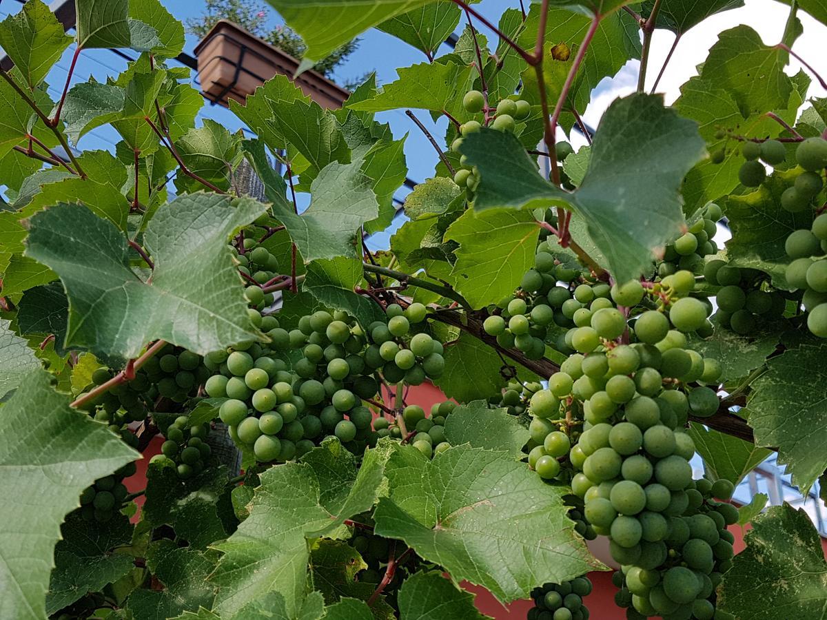 Agriturismo Frascje Dai Spadons Villa Pradamano Bagian luar foto